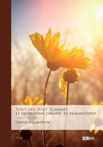 Tout feu tout flammes - le quinzième cahier : Le flamboyant - Nugues-Richer Charline