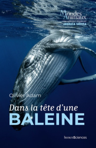 Dans la tête d'une baleine - Adam Olivier