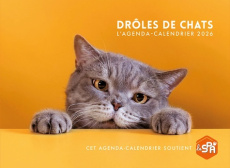 L'agenda-calendrier Drôles de chats. Edition 2026 - COLLECTIF