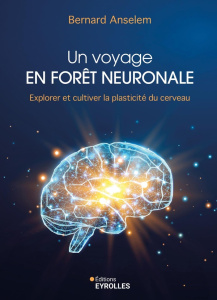 Un voyage en forêt neuronale. Explorer et cultiver la plasticité du cerveau - Anselem Bernard