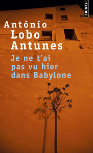 Je ne t'ai pas vu hier dans Babylone - Antunes António Lobo ; Giudicelli Michelle