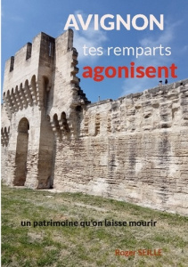 Avignon, tes remparts agonisent. Un patrimoine mondial qu'on laisse mourir - Seille Roger