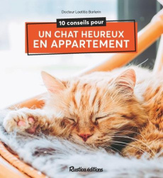 10 conseils pour un chat heureux en appartement - Barlerin Laëtitia
