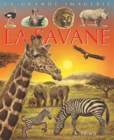 Animaux de la savane - Beaumont Emilie ; Alunni Bernard ; Lemayeur Marie-