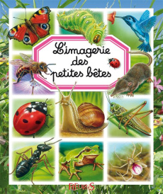 L'imagerie des petites bêtes - Beaumont Emilie ; Alunni Bernard ; Lemayeur Marie-