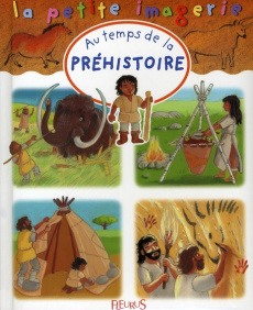 Au temps de la préhistoire - Beaumont Emilie ; Didierjean Marie-Anne
