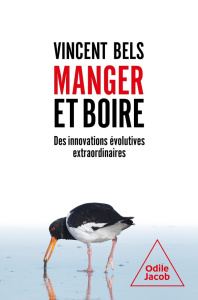 Manger et boire. Des innovations évolutives extraordinaires - Bels Vincent