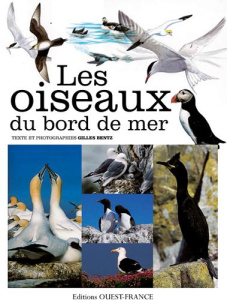 Les oiseaux du bord de mer - Bentz Gilles