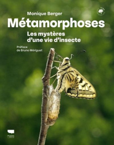 Métamorphoses. Les mystères d'une vie d'insecte - Berger Monique ; Mériguet Bruno