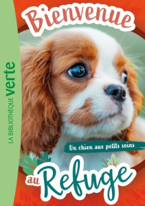 Bienvenue au refuge Tome 13 : Un chien aux petits soins - Ruter Pascal