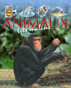 Animaux très malins - Boccador Sabine ; Lemayeur Marie-Christine ; Alunn