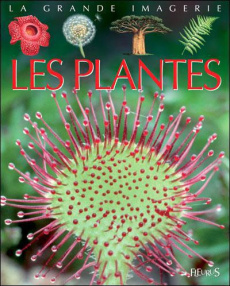 Les plantes - Boccador Sabine ; Lemayeur Marie-Christine ; Alunn