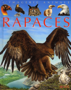 Les rapaces - Boccador Sabine ; Lemayeur Marie-Christine ; Alunn