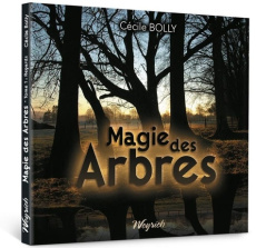 Magie des arbres - BOLLY