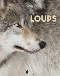 Eperdument loups - Boyac Hervé