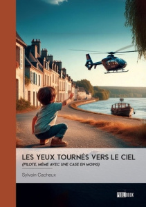 Les yeux tournés vers le ciel. (Pilote, même avec une case en moins) - Cacheux Sylvain