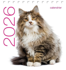Calendrier de table Chats. Edition 2026 - COLLECTIF
