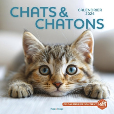 Calendrier Chats et Chatons. Edition 2026 - COLLECTIF
