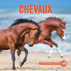 Calendrier Chevaux. Edition 2026 - COLLECTIF