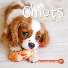 Calendrier Chiots. Edition 2026 - COLLECTIF