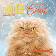 Calendrier Drôles de chats. Edition 2026 - COLLECTIF