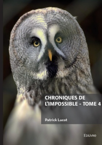 Chroniques de l'impossible Tome 4 - Lucot Patrick