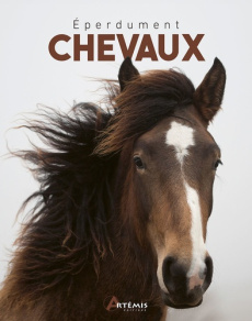 Eperdument chevaux - Barruel Laurence