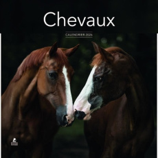 Calendrier Chevaux. Edition 2026 - COLLECTIF