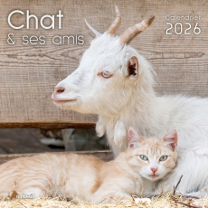 Calendrier le chat et ses amis. Edition 2026 - COLLECTIF