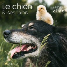 Calendrier le chien et ses amis. Edition 2026 - COLLECTIF
