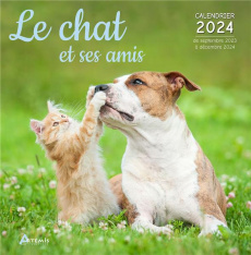 Le chat et ses amis. Calendrier de septembre 2023 à décembre 2024, Edition 2024 - COLLECTIF