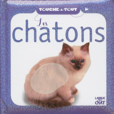 Les chatons - COLLECTIF