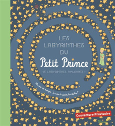 Les labyrinthes du Petit Prince - Arnaud Guillaume