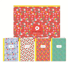 Moi et mes petits carnets. Moi ; Mes copines ; Mes secrets ; Mes fêtes - Thiéry Cynthia