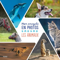 Mon encyclo en photos : Animaux - COLLECTIF