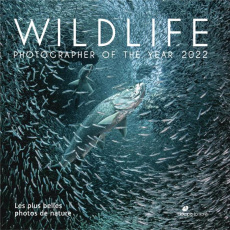 Wildlife - Photographer of the year 2022 - Collectif