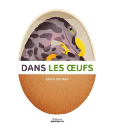 Dans les oeufs - Corman Clara