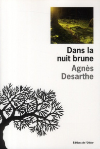 Dans la nuit brune - Desarthe Agnès