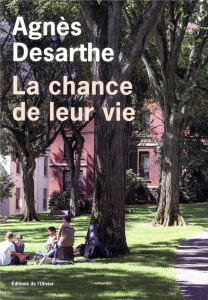 La chance de leur vie - Desarthe Agnès