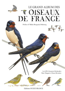 Le grand album des oiseaux de France - DESBORDES/LPO