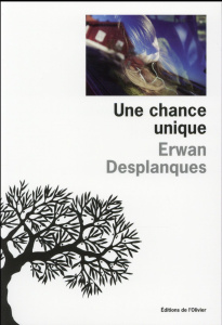 Une chance unique - Desplanques Erwan