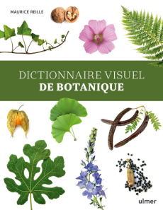Dictionnaire visuel de botanique - Reille Maurice