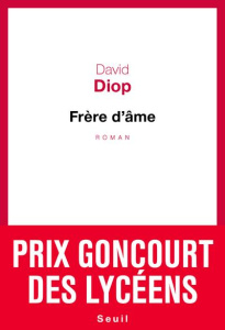 Frère d'âme - Diop David