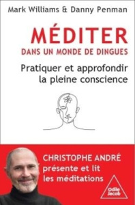 Méditer dans un monde de dingues. Pratiquer et approfondir la pleine conscience - Williams Mark ; Penman Danny ; André Christophe ;