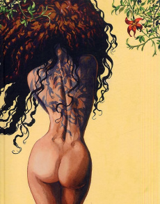 Djinn L'intégrale cycle 2 : Cycle Africa. Tome 5, Africa ; Tome 6, La perle noire ; Tome 7, Pipiktu - Dufaux Jean ; Mirallès Ana