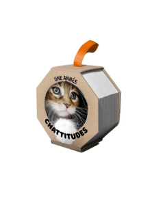 ephemeride-une-annee-chattitude_0