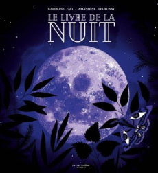 Le Livre de la nuit - Fait Caroline ; Delaunay Amandine