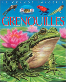 Les grenouilles - Franco Cathy ; Lemayeur Marie-Christine ; Alunni B