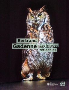 Les images réfléchies. Edition bilingue français-anglais - Gadenne Bertrand ; Calan Maël de ; Ifri Philippe ;