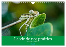 La vie de nos prairies - Demoiselles et libellules (Calendrier mural 2026 DIN A4 vertical), CALVENDO - Gaymard Alain